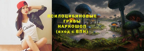 ПСИЛОЦИБИНОВЫЕ ГРИБЫ Козельск