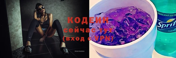 соль ск Кодинск