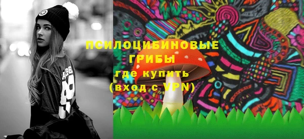 ПСИЛОЦИБИНОВЫЕ ГРИБЫ Козельск
