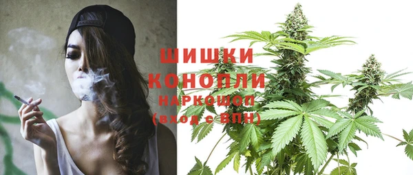 соль ск Кодинск