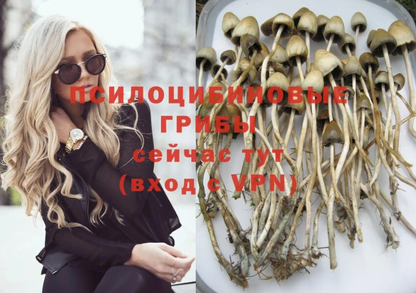 соль ск Кодинск
